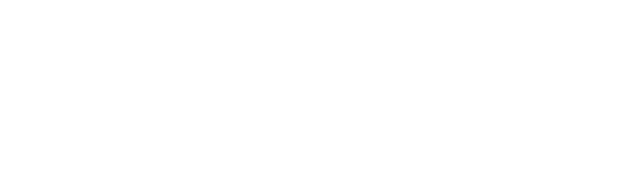 belbet